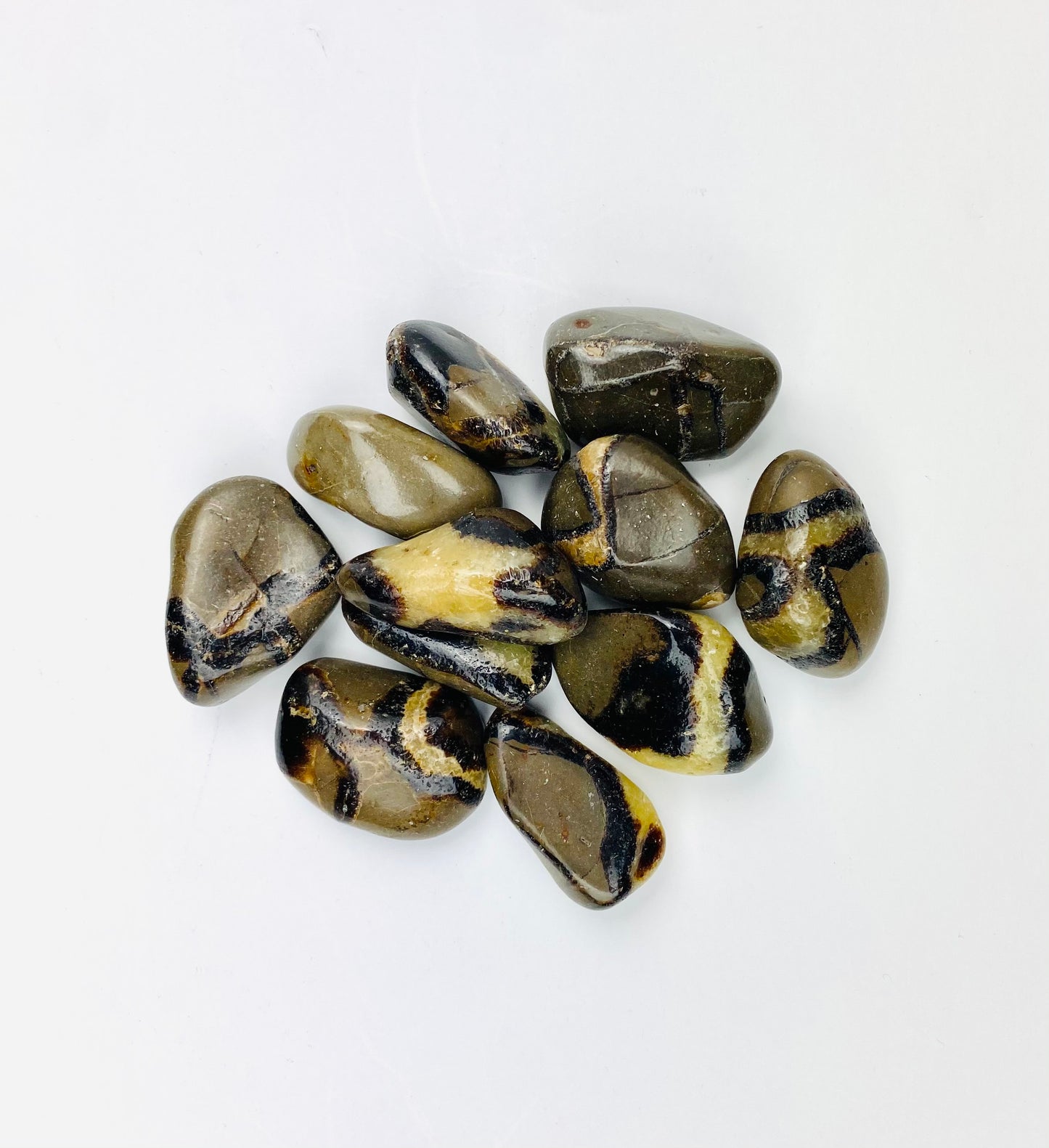 Septarian Tumbled Stone