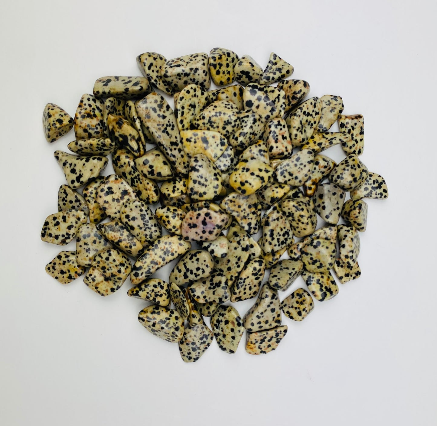 Dalmatian Jasper Tumbled