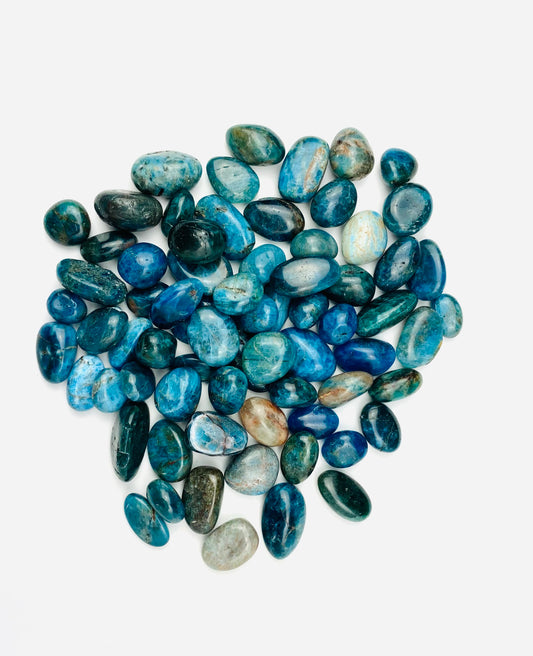 Blue Apatite Tumbled