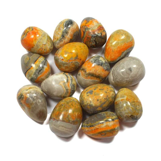 Bumblebee Jasper Tumbled Stones